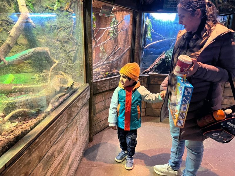 image_pre_school_9 image_pre_school_9